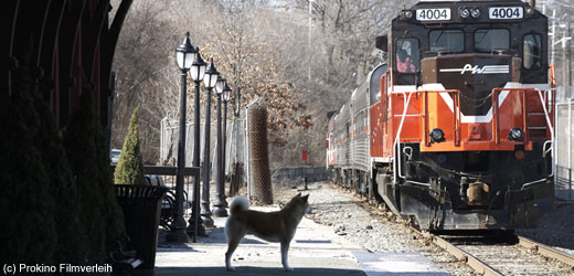 Hachiko