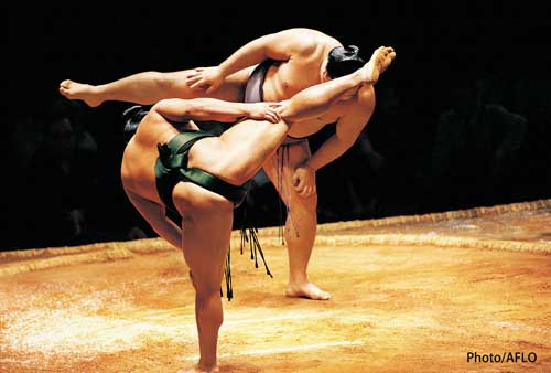 Sumo