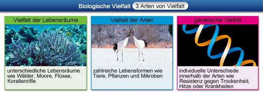 Biologische Vielfalt