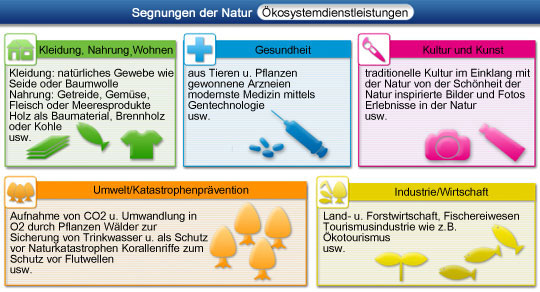 Segnungen der Natur