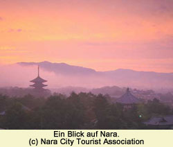 Blick auf Nara