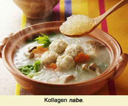 Kollagen Nabe