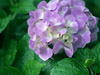 name