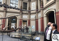 Besuch beim Museum für Naturkunde in Berlin