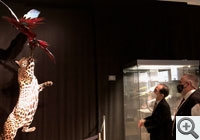 Besuch beim Museum für Naturkunde in Berlin