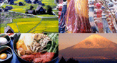 Discover the Sprit of Japan