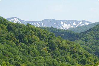 Shirakami Sanchi